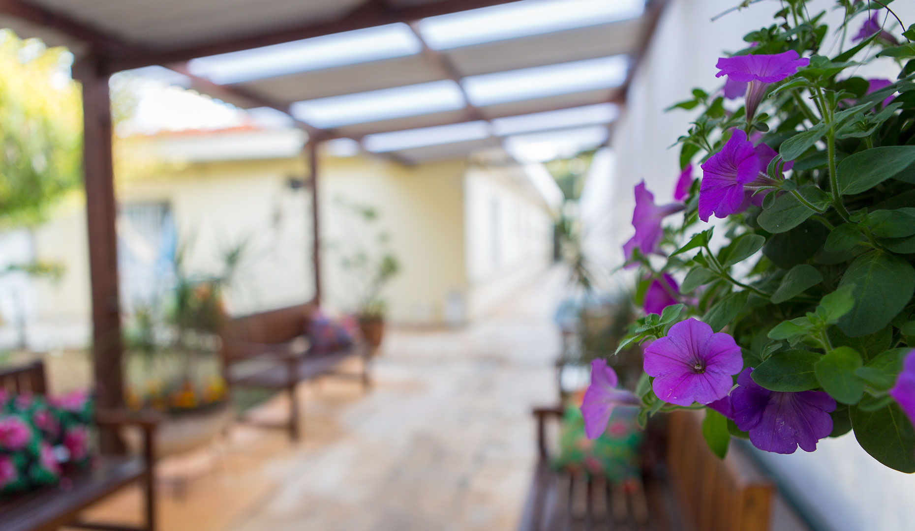 24 h por dia recebendo o carinho de familiares e amigos